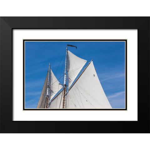 New England-Massachusetts-Cape Ann-Gloucester-Gloucester Schooner Festival-schooner sails Black Modern Wood Framed Art Print with Double Matting by Bibikow, Walter