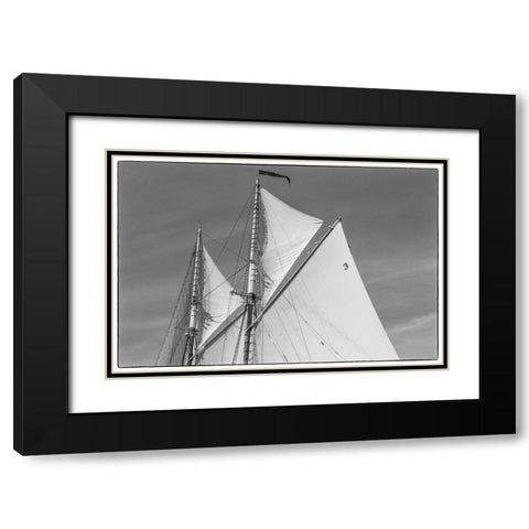 New England-Massachusetts-Cape Ann-Gloucester-Gloucester Schooner Festival-schooner sails Black Modern Wood Framed Art Print with Double Matting by Bibikow, Walter