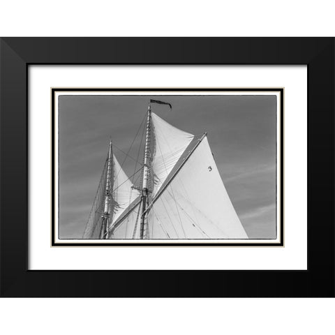 New England-Massachusetts-Cape Ann-Gloucester-Gloucester Schooner Festival-schooner sails Black Modern Wood Framed Art Print with Double Matting by Bibikow, Walter