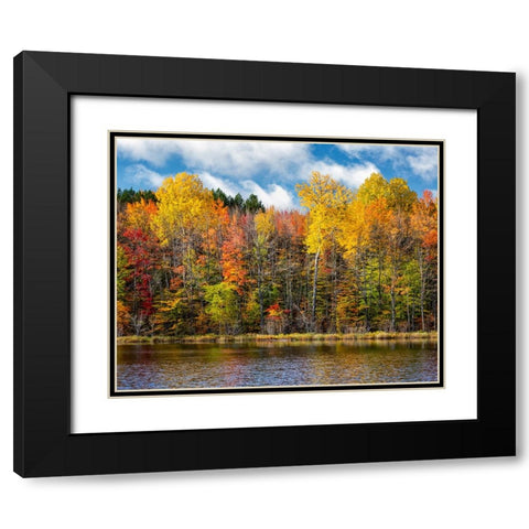 USA-Michigan-Upper Peninsula-Munising Autumn trees at Thornton Lake Black Modern Wood Framed Art Print with Double Matting by Collins, Ann
