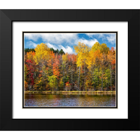 USA-Michigan-Upper Peninsula-Munising Autumn trees at Thornton Lake Black Modern Wood Framed Art Print with Double Matting by Collins, Ann
