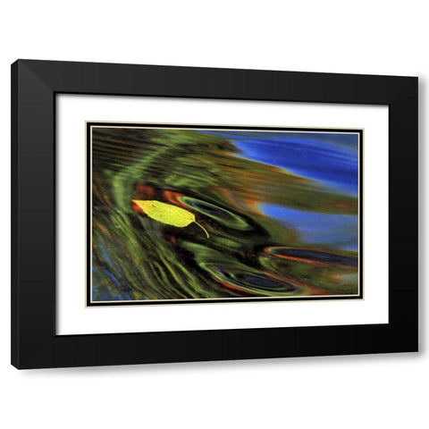 MI, Birch leaf in river with autumn reflections Black Modern Wood Framed Art Print with Double Matting by Carlson, Mark