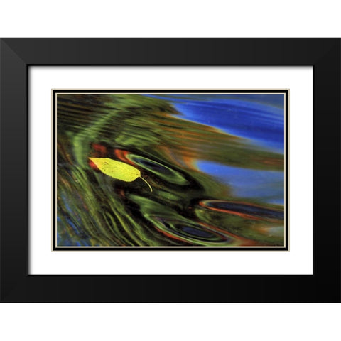 MI, Birch leaf in river with autumn reflections Black Modern Wood Framed Art Print with Double Matting by Carlson, Mark