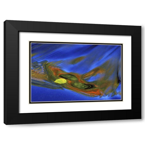 MI, birch leaf in river current in autumn Black Modern Wood Framed Art Print with Double Matting by Carlson, Mark