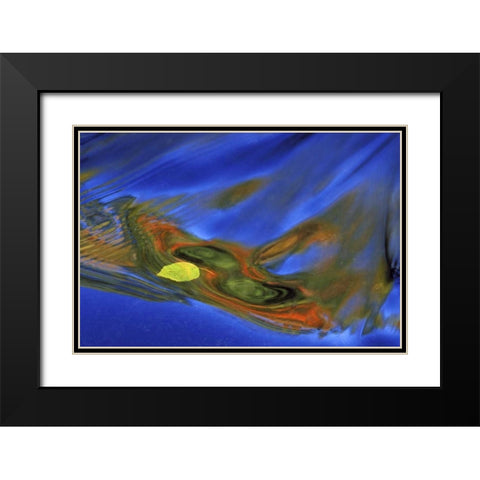 MI, birch leaf in river current in autumn Black Modern Wood Framed Art Print with Double Matting by Carlson, Mark