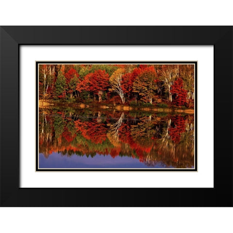 United States, MI, Fall reflects in Thornton Lake Black Modern Wood Framed Art Print with Double Matting by Welling, Dave