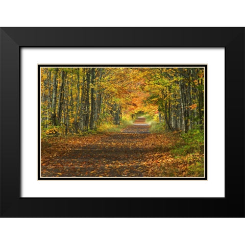 Michigan Roadway into fall foliage Black Modern Wood Framed Art Print with Double Matting by Rotenberg, Nancy
