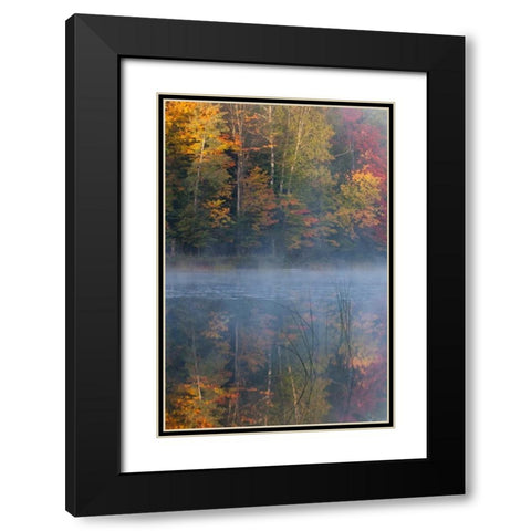 MI, Thornton Lake with fog and tree reflections Black Modern Wood Framed Art Print with Double Matting by Rotenberg, Nancy