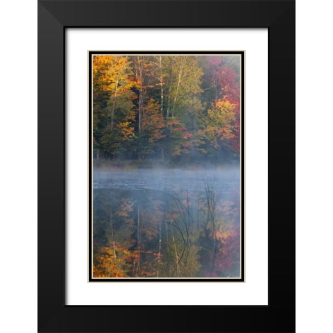 MI, Thornton Lake with fog and tree reflections Black Modern Wood Framed Art Print with Double Matting by Rotenberg, Nancy