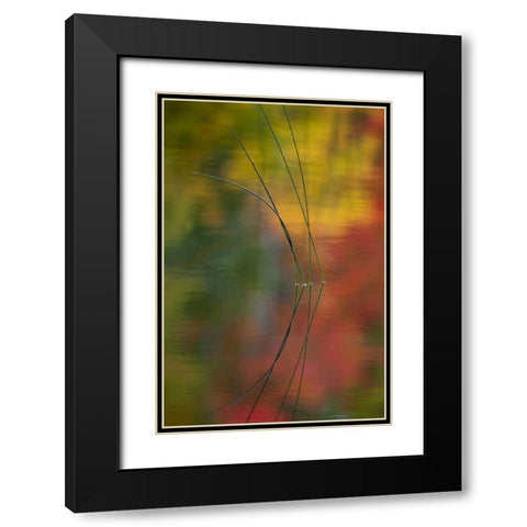 MI, Autumn foliage reflect on Thornton Lake Black Modern Wood Framed Art Print with Double Matting by Rotenberg, Nancy