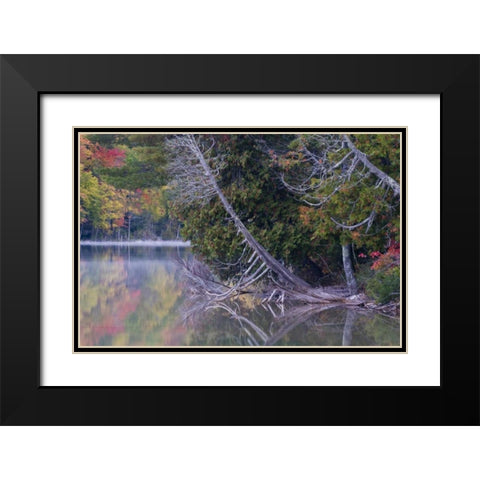 MI, Petes Lake reflects autumn foliage Black Modern Wood Framed Art Print with Double Matting by Rotenberg, Nancy