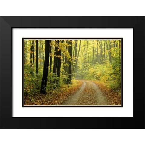 MI, Two-track road through woods in light fog Black Modern Wood Framed Art Print with Double Matting by Carlson, Mark