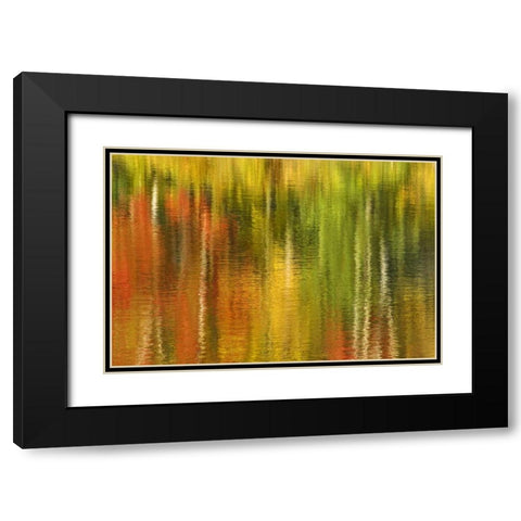 MI Reflection of autumn birch and maple trees Black Modern Wood Framed Art Print with Double Matting by Bush, Marie