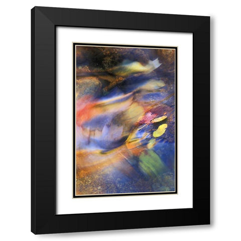 USA, Michigan Autumn leaves in stream Black Modern Wood Framed Art Print with Double Matting by Rotenberg, Nancy