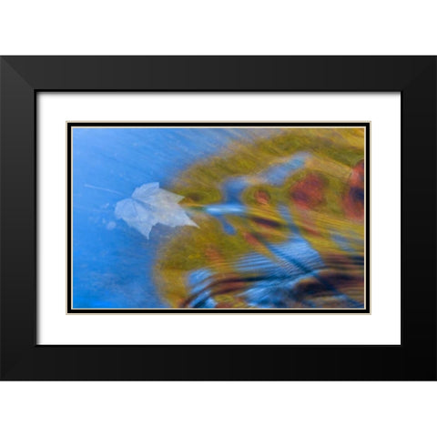 Michigan, Upper Peninsula Bond Falls reflections Black Modern Wood Framed Art Print with Double Matting by Rotenberg, Nancy