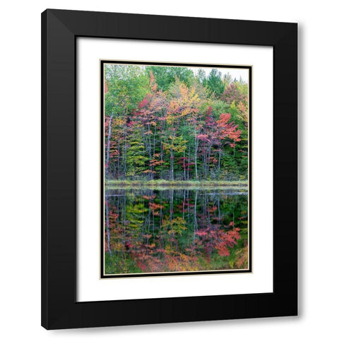 Thornton Lake in fall color-Alger County-Michigan Black Modern Wood Framed Art Print with Double Matting by Day, Richard and Susan
