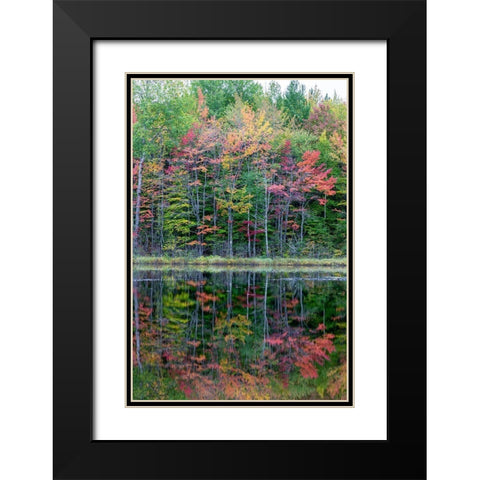 Thornton Lake in fall color-Alger County-Michigan Black Modern Wood Framed Art Print with Double Matting by Day, Richard and Susan