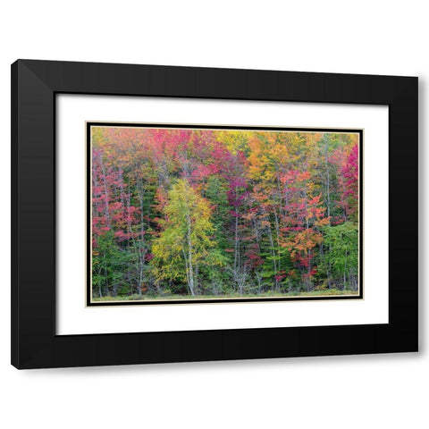 Thornton Lake in fall color-Alger County-Michigan Black Modern Wood Framed Art Print with Double Matting by Day, Richard and Susan