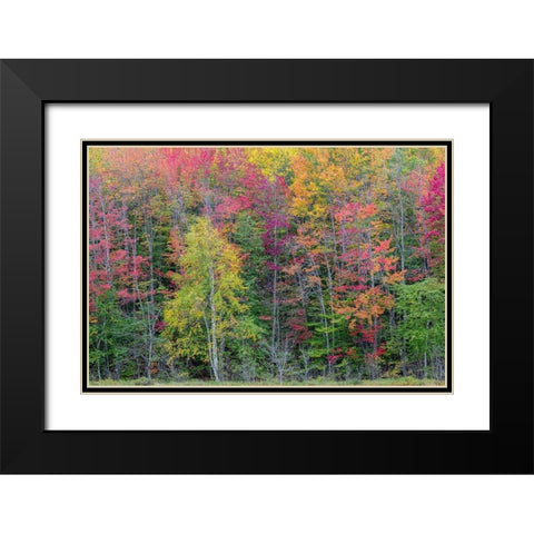 Thornton Lake in fall color-Alger County-Michigan Black Modern Wood Framed Art Print with Double Matting by Day, Richard and Susan