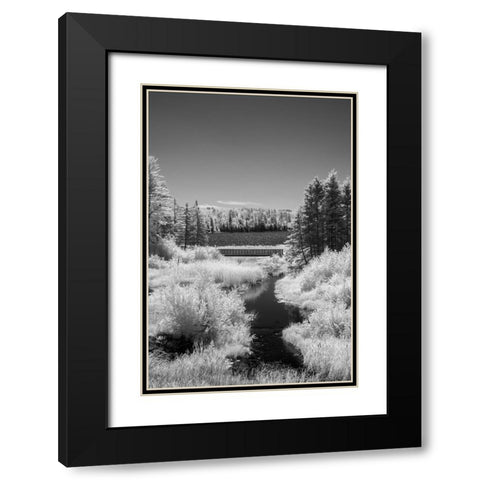 USA-Minnesota-La Salle State Recreation Area Black Modern Wood Framed Art Print with Double Matting by Hawkins, Peter
