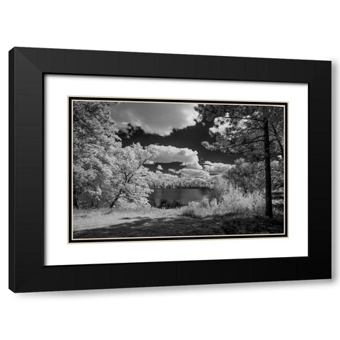 USA-Minnesota-La Salle State Recreation area Black Modern Wood Framed Art Print with Double Matting by Hawkins, Peter