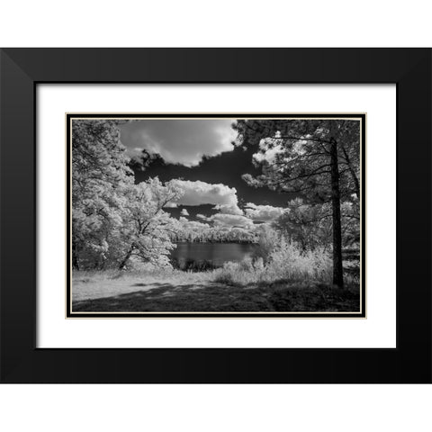 USA-Minnesota-La Salle State Recreation area Black Modern Wood Framed Art Print with Double Matting by Hawkins, Peter