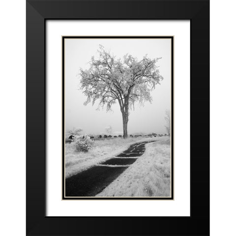 USA-Minnesota-Duluth-Park Point-Boardwalk over Dunes Black Modern Wood Framed Art Print with Double Matting by Hawkins, Peter