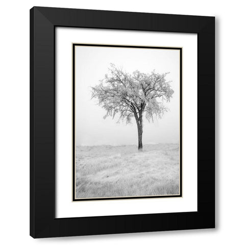 USA-Minnesota-Duluth-Park Point-Boardwalk over Dunes Black Modern Wood Framed Art Print with Double Matting by Hawkins, Peter
