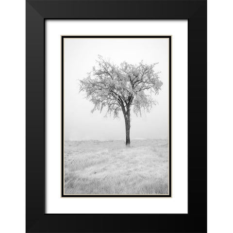 USA-Minnesota-Duluth-Park Point-Boardwalk over Dunes Black Modern Wood Framed Art Print with Double Matting by Hawkins, Peter