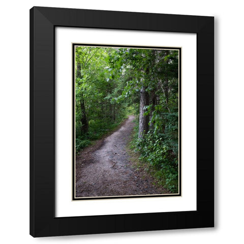 USA-Minnesota-La Salle State Recreation Area Black Modern Wood Framed Art Print with Double Matting by Hawkins, Peter