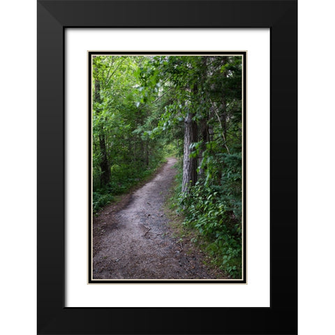 USA-Minnesota-La Salle State Recreation Area Black Modern Wood Framed Art Print with Double Matting by Hawkins, Peter