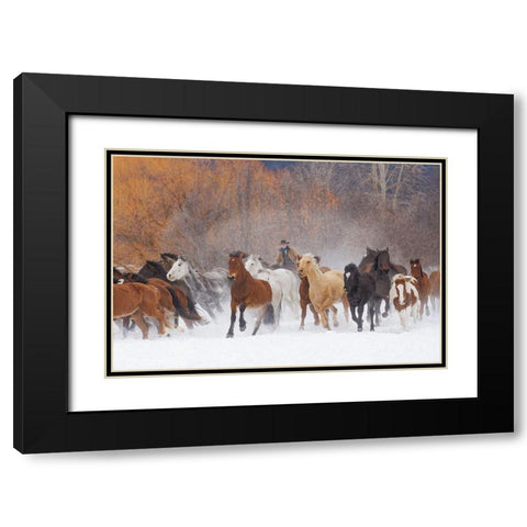Cowboys during winter roundup-Kalispell-Montana Black Modern Wood Framed Art Print with Double Matting by Jones, Adam