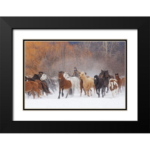 Cowboys during winter roundup-Kalispell-Montana Black Modern Wood Framed Art Print with Double Matting by Jones, Adam