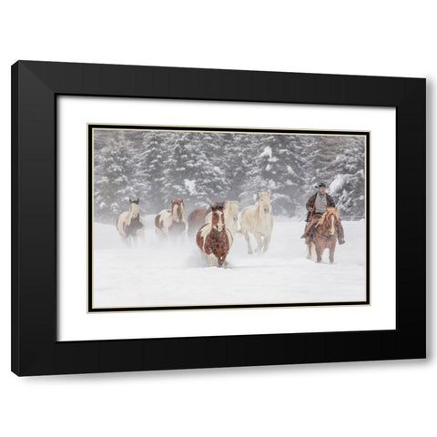 Cowboy during winter roundup-Kalispell-Montana Black Modern Wood Framed Art Print with Double Matting by Jones, Adam