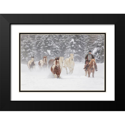 Cowboy during winter roundup-Kalispell-Montana Black Modern Wood Framed Art Print with Double Matting by Jones, Adam