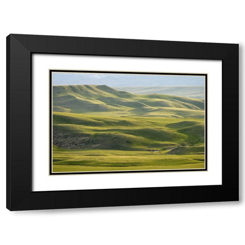 MT, Rocky Mt, Green hills east of Great Falls Black Modern Wood Framed Art Print with Double Matting by Paulson, Don