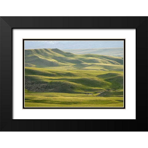 MT, Rocky Mt, Green hills east of Great Falls Black Modern Wood Framed Art Print with Double Matting by Paulson, Don