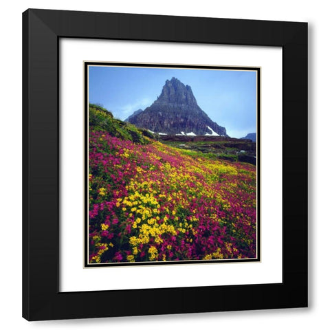 USA, Montana, Glacier NP Wildflowers in summer Black Modern Wood Framed Art Print with Double Matting by Talbot Frank, Christopher