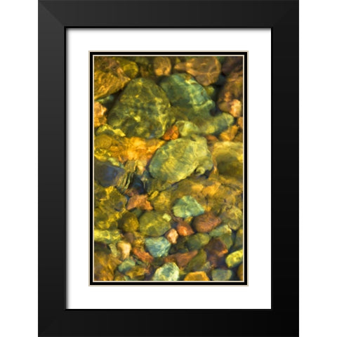 MT, Rattlesnake Wilderness Area Underwater rocks Black Modern Wood Framed Art Print with Double Matting by Rotenberg, Nancy