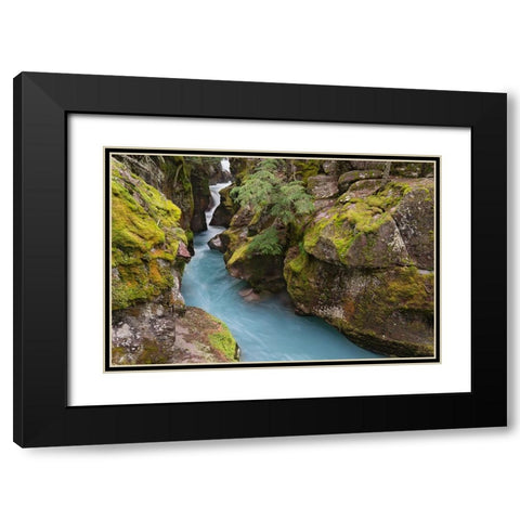 USA-Montana-Glacier National Park Glacial silt in Avalanche Creek flows through gorge Black Modern Wood Framed Art Print with Double Matting by Jaynes Gallery