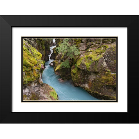 USA-Montana-Glacier National Park Glacial silt in Avalanche Creek flows through gorge Black Modern Wood Framed Art Print with Double Matting by Jaynes Gallery