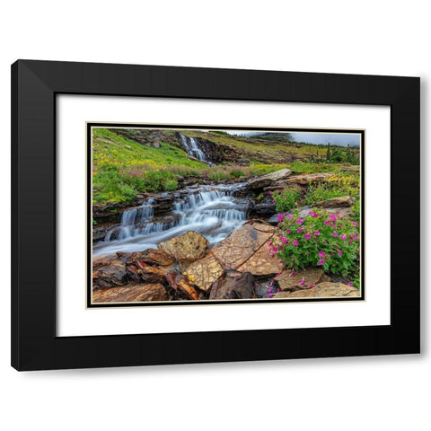 Alpine wildflowers along Oberlin Creek in Glacier National Park-Montana-USA Black Modern Wood Framed Art Print with Double Matting by Haney, Chuck