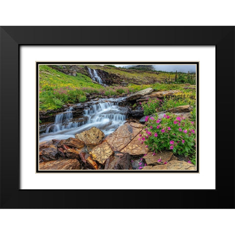 Alpine wildflowers along Oberlin Creek in Glacier National Park-Montana-USA Black Modern Wood Framed Art Print with Double Matting by Haney, Chuck