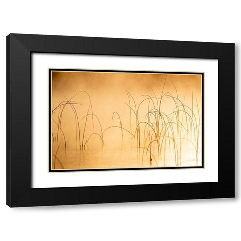 Icy reeds at sunrise on cold morning at Spencer Lake near Whitefish-Montana-USA Black Modern Wood Framed Art Print with Double Matting by Haney, Chuck