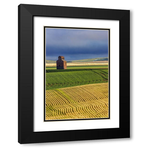 Old wooden granary in Collins-Montana-USA Black Modern Wood Framed Art Print with Double Matting by Haney, Chuck