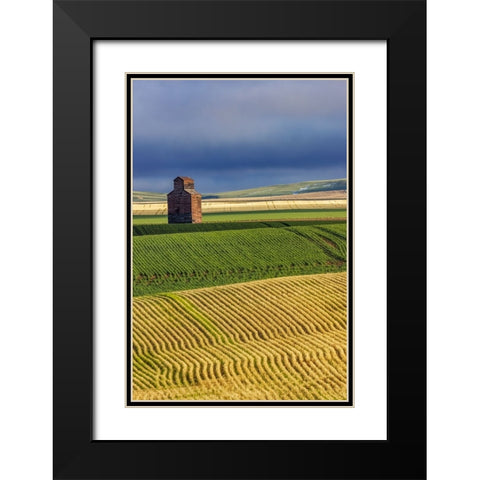 Old wooden granary in Collins-Montana-USA Black Modern Wood Framed Art Print with Double Matting by Haney, Chuck
