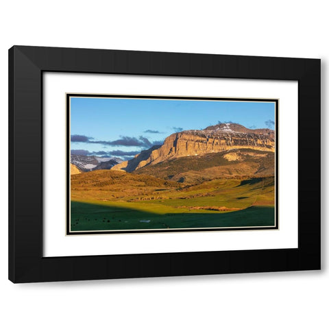 Cattle pastures below Walling Reef at sunrise near Dupuyer-Montana-USA Black Modern Wood Framed Art Print with Double Matting by Haney, Chuck