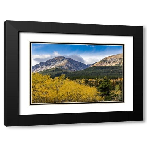 Autumn aspen grove with Bear Mountain in Glacier National Park-Montana-USA Black Modern Wood Framed Art Print with Double Matting by Haney, Chuck