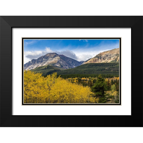 Autumn aspen grove with Bear Mountain in Glacier National Park-Montana-USA Black Modern Wood Framed Art Print with Double Matting by Haney, Chuck