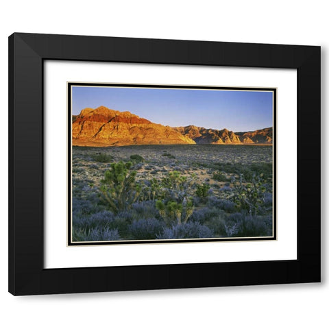 Nevada, Red Rock Canyon Sunset on hills Black Modern Wood Framed Art Print with Double Matting by Flaherty, Dennis